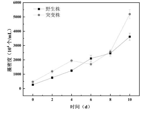 高效固碳優(yōu)勢(shì)微藻突變株應(yīng)用于污水處理，去污效果好，成本低
