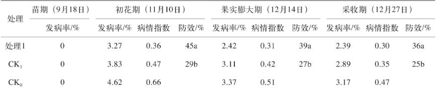 類(lèi)球紅細(xì)菌對(duì)植物的作用有哪些【田間草莓種植實(shí)驗(yàn)】