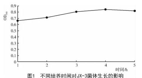銀杏內(nèi)生細(xì)菌JX-3最佳生長(zhǎng)條件與影響因素