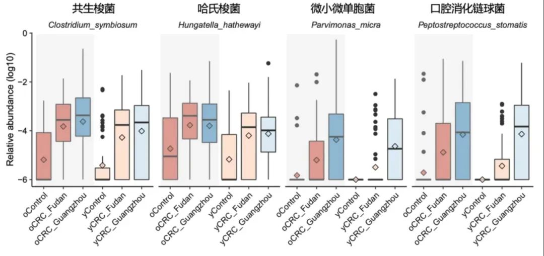 腸道糞便微生物與結直腸癌有何關聯？