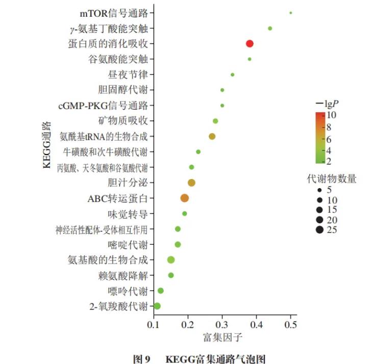 新一代益生菌Akk在兩種培養(yǎng)基中的生長情況與差異性代謝組學(xué)分析結(jié)果（二）