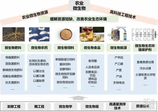 一文了解什么是農業微生物和農業微生物產業