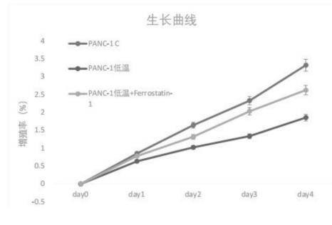 利用CIRBP作為胰腺癌診斷及治療分子標記物（細胞增殖生長曲線檢測步驟）