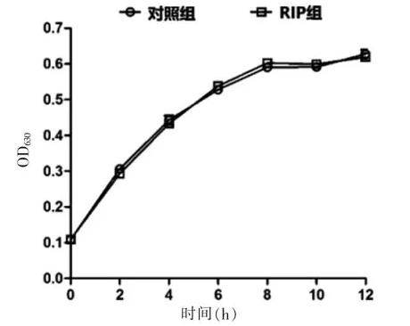 RIP 衍生物對(duì)?耐甲氧西林金黃色葡萄球菌生長曲線及生物膜形成的影響（一）