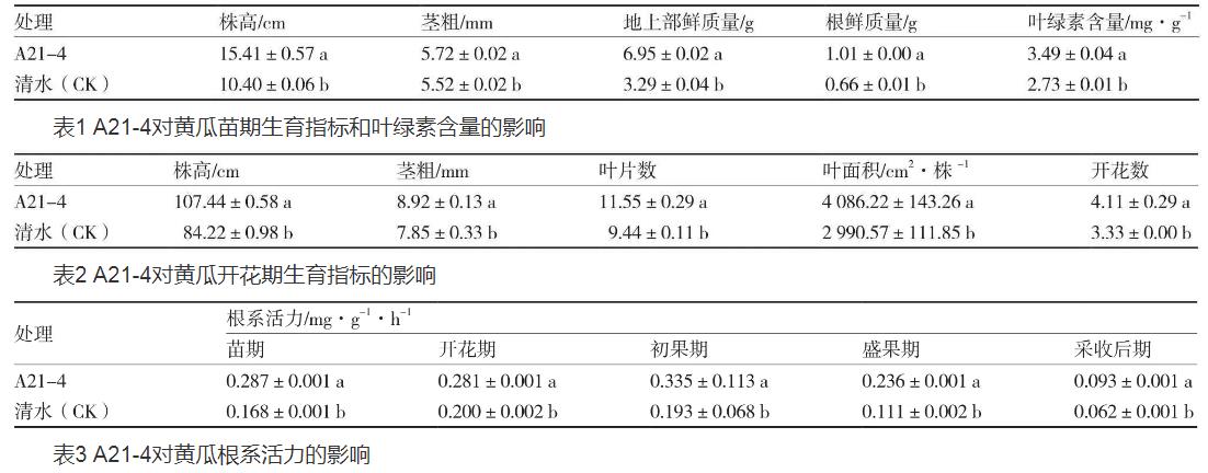 普城沙雷菌對(duì)黃瓜生長(zhǎng)品質(zhì)、根際土壤微生物數(shù)量的影響（一）