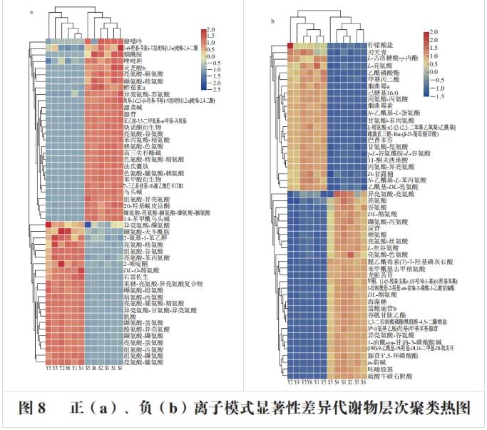 嗜黏蛋白阿克曼菌在硫乙醇酸鹽液體培養基中的生長情況與代謝產物（二）