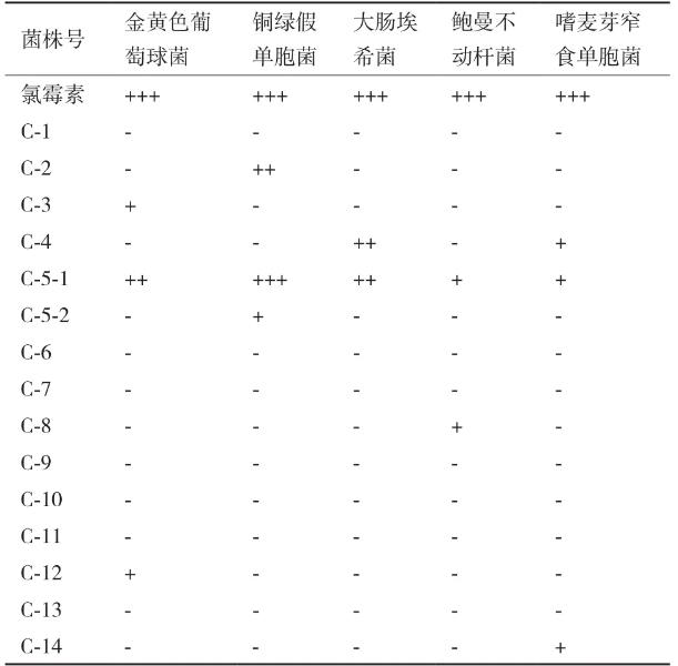 豨薟草果實內生細菌分離、鑒定、生長特性、抑菌效果及藥敏分析（一）