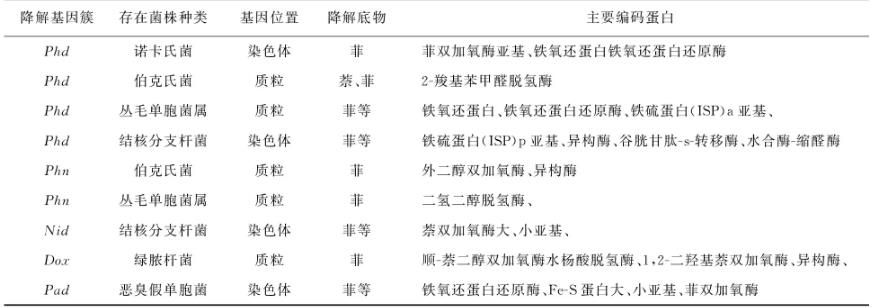 綜述微生物修復(fù)菲污染中降解菌的菌屬、降解機(jī)理、分子機(jī)制、影響因素（三）