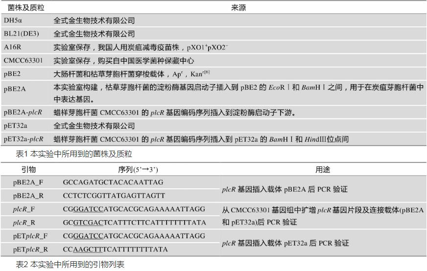 PlcR在炭疽芽胞桿菌A16R中對其生長狀態(tài)、溶血酶活性及神經(jīng)磷脂酶活性影響（一）