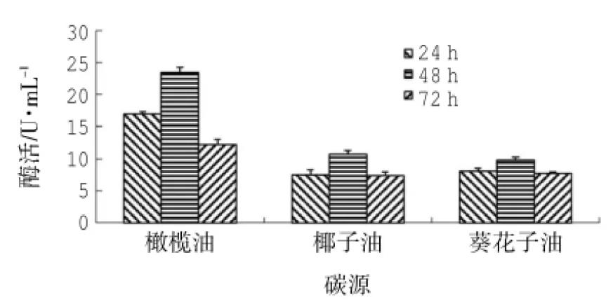 產脂肪酶地衣芽孢桿菌LD-1302篩選、培養基及產酶條件研究（三）