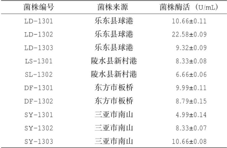 產(chǎn)脂肪酶地衣芽孢桿菌LD-1302篩選、培養(yǎng)基及產(chǎn)酶條件研究（二）