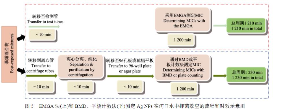 微生物生長(zhǎng)曲線監(jiān)測(cè)儀測(cè)定納米銀對(duì)副溶血弧菌的最小抑菌濃度（三）