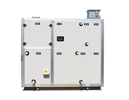 轉(zhuǎn)輪熱回收新風機